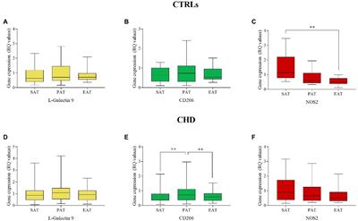 Macrophage polarization markers in subcutaneous, pericardial, and epicardial adipose tissue are altered in patients with coronary heart disease